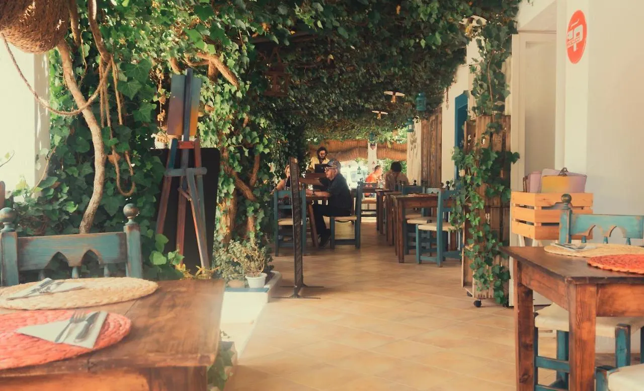 Gasthof Hostal Esfigueral Playa DPlaya Des Figueral Spanien